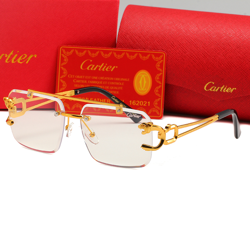 Cartier sunglasses-C5902S